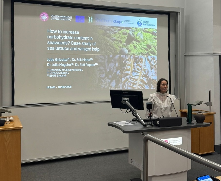 Julie Grivotte presenting her results at the IPSAM, in Galway, June 2025